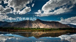 25元1斤烧鸭赚钱吗 25元1斤烧鸭赚钱吗