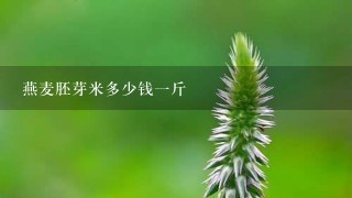 燕麦胚芽米多少钱1斤 燕麦胚芽米多少钱1斤