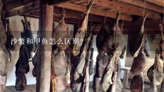 沙鳖和甲鱼怎么区别? 沙鳖和甲鱼怎么区别?