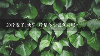20斤麦子1块51斤是多少钱50对吗? 20斤麦子1块51斤是多少钱50对吗?