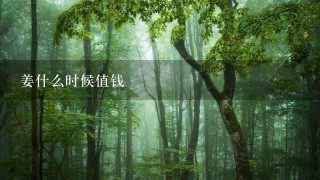 姜什么时候值钱 姜什么时候值钱