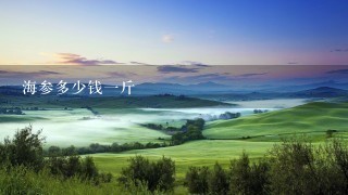 海参多少钱1斤 海参多少钱1斤