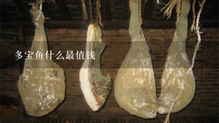 多宝鱼什么最值钱 多宝鱼什么最值钱
