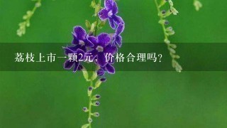 荔枝上市1颗2元,价格合理吗? 荔枝上市1颗2元,价格合理吗?