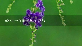 600元1斤的是纯羊绒吗 600元1斤的是纯羊绒吗