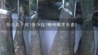 什么是干贝?多少钱?柳州哪里有卖? 什么是干贝?多少钱?柳州哪里有卖?