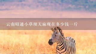 云南昭通小草坝天麻现在多少钱1斤 云南昭通小草坝天麻现在多少钱1斤