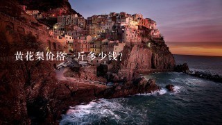 黄花梨价格1斤多少钱? 黄花梨价格1斤多少钱?