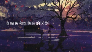 真鲷鱼和红鲷鱼的区别 真鲷鱼和红鲷鱼的区别