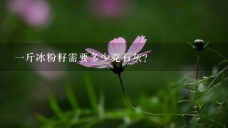 1斤冰粉籽需要多少克石灰? 1斤冰粉籽需要多少克石灰?