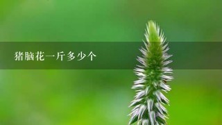 猪脑花1斤多少个 猪脑花1斤多少个
