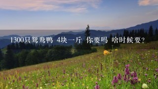 1300只鸳鸯鸭 4块1斤 你要吗 啥时候要? 1300只鸳鸯鸭 4块1斤 你要吗 啥时候要?