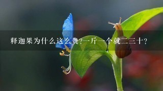 释迦果为什么这么贵?1斤1个就23十? 释迦果为什么这么贵?1斤1个就23十?
