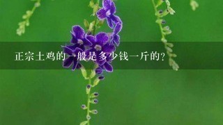 正宗土鸡的1般是多少钱1斤的? 正宗土鸡的1般是多少钱1斤的?