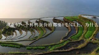 现在的1个鲜鸭蛋价格都要6毛5以上,为什么有的厂家卖的咸蛋黄价格还低于6毛5,难道市面上有很多假蛋黄吗 现在的1个鲜鸭蛋价格都要6毛5以上,为什么有的厂家卖的咸蛋黄价格还低于6毛5,难道市面上有很多假蛋黄吗