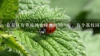 在景区有养殖场卖蜂蜜的501斤,有个荔枝园,买回来有人说是喂白糖养的,现在是4月份。假的? 在景区有养殖场卖蜂蜜的501斤,有个荔枝园,买回来有人说是喂白糖养的,现在是4月份。假的?