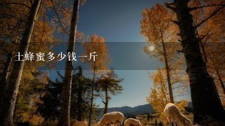 土蜂蜜多少钱1斤 土蜂蜜多少钱1斤
