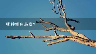 哪种鲳鱼最贵? 哪种鲳鱼最贵?