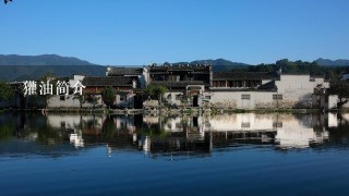獾油简介 獾油简介
