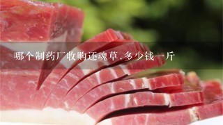 哪个制药厂收购还魂草.多少钱1斤 哪个制药厂收购还魂草.多少钱1斤