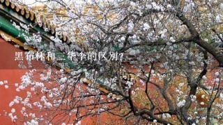 黑布林和3华李的区别? 黑布林和3华李的区别?
