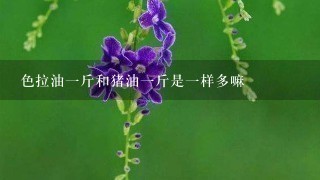 色拉油1斤和猪油1斤是1样多嘛 色拉油1斤和猪油1斤是1样多嘛