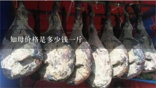 知母价格是多少钱1斤 知母价格是多少钱1斤