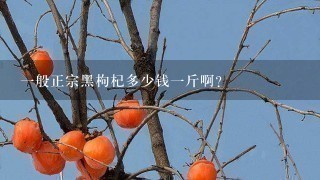 1般正宗黑枸杞多少钱1斤啊? 1般正宗黑枸杞多少钱1斤啊?