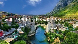 苏州1_3斤野生白鱼批发价格是多少 苏州1_3斤野生白鱼批发价格是多少