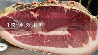 牛胶和驴胶的区别? 牛胶和驴胶的区别?