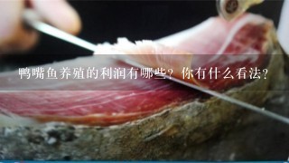 鸭嘴鱼养殖的利润有哪些?你有什么看法? 鸭嘴鱼养殖的利润有哪些?你有什么看法?