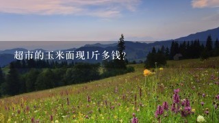 超市的玉米面现1斤多钱? 超市的玉米面现1斤多钱?