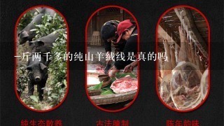 -斤两千多的纯山羊绒线是真的吗 -斤两千多的纯山羊绒线是真的吗