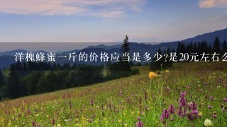 洋槐蜂蜜1斤的价格应当是多少?是20元左右么? 洋槐蜂蜜1斤的价格应当是多少?是20元左右么?