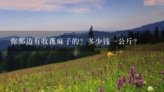 你那边有收蓖麻子的?多少钱1公斤? 你那边有收蓖麻子的?多少钱1公斤?