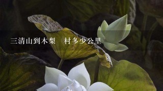 3清山到木梨硔村多少公里 3清山到木梨硔村多少公里