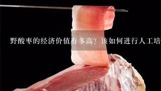 野酸枣的经济价值有多高?该如何进行人工培育? 野酸枣的经济价值有多高?该如何进行人工培育?
