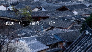 肉201斤,毛猪多少1斤? 肉201斤,毛猪多少1斤?