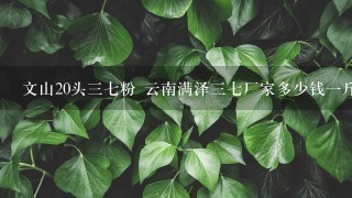 文山20头37粉 云南满泽37厂家多少钱1斤? 文山20头37粉 云南满泽37厂家多少钱1斤?