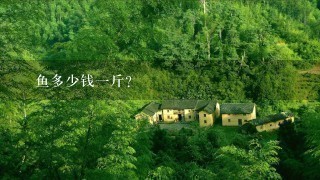 鮰鱼多少钱1斤? 鮰鱼多少钱1斤?