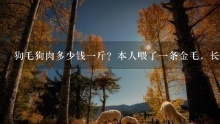 狗毛狗肉多少钱1斤?本人喂了1条金毛,长的太肥了,估计有100斤,现在不准养狗,太吃的 要被它吃穷 狗毛狗肉多少钱1斤?本人喂了1条金毛,长的太肥了,估计有100斤,现在不准养狗,太吃的 要被它吃穷