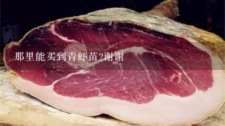 那里能买到青虾苗?谢谢 那里能买到青虾苗?谢谢