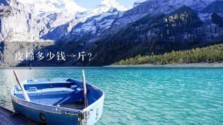 皮棉多少钱1斤? 皮棉多少钱1斤?