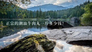 正宗的潮汕牛肉丸1斤多少钱? 正宗的潮汕牛肉丸1斤多少钱?