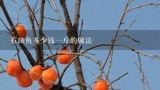 石斑鱼多少钱1斤的做法 石斑鱼多少钱1斤的做法