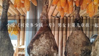 小说《可爱多少钱1斤》男女主第几章在1起了? 小说《可爱多少钱1斤》男女主第几章在1起了?