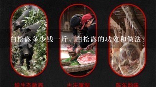 白松露多少钱1斤,白松露的功效和做法? 白松露多少钱1斤,白松露的功效和做法?