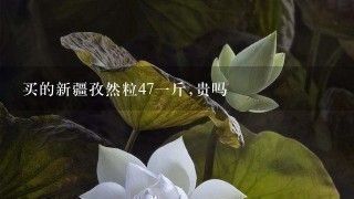 买的新疆孜然粒471斤,贵吗 买的新疆孜然粒471斤,贵吗