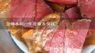 盘锦水田1年能赚多少钱 盘锦水田1年能赚多少钱