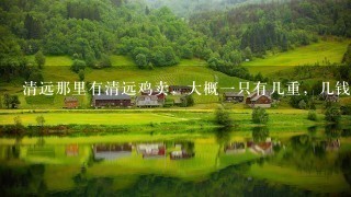 清远那里有清远鸡卖,大概1只有几重,几钱1只? 清远那里有清远鸡卖,大概1只有几重,几钱1只?